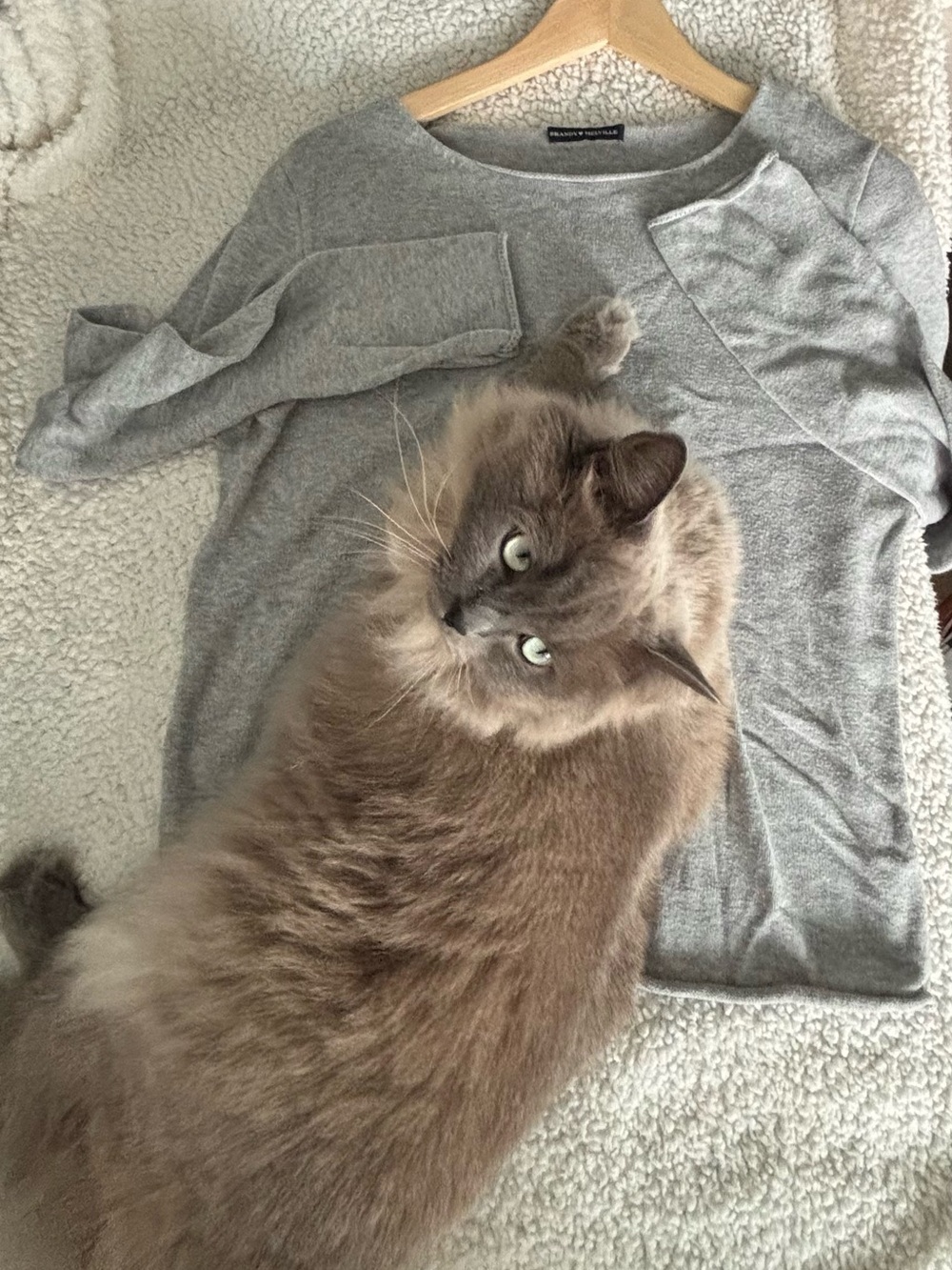 Brandy Melville soft Gray light knit sweater